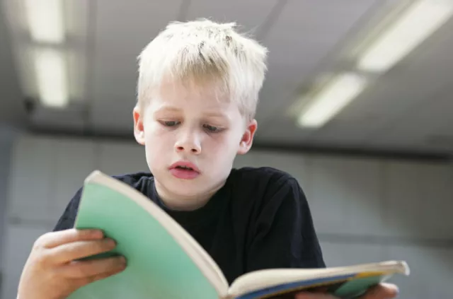 A young boy reads a book